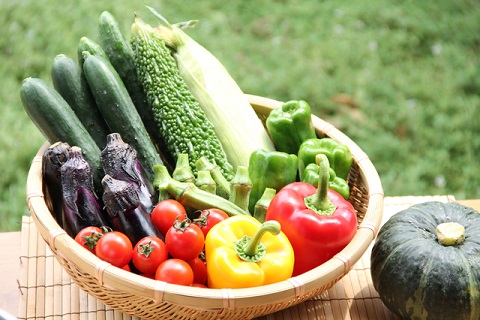 夏野菜カレーに入れる人気の野菜具材と調理の仕方は？