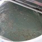 洗濯物の臭い匂いを消す裏ワザ！酸素系漂白剤の過炭酸ナトリウムで洗濯機を洗う！[未分類tags] 1
