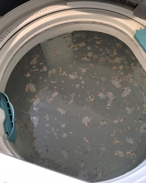 洗濯物の臭い匂いを消す裏ワザ！酸素系漂白剤の過炭酸ナトリウムで洗濯機を洗う！[未分類tags] 2