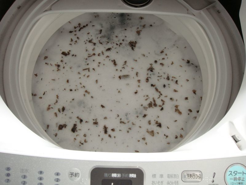 洗濯物の臭い匂いを消す裏ワザ！酸素系漂白剤の過炭酸ナトリウムで洗濯機を洗う！[未分類tags] 3